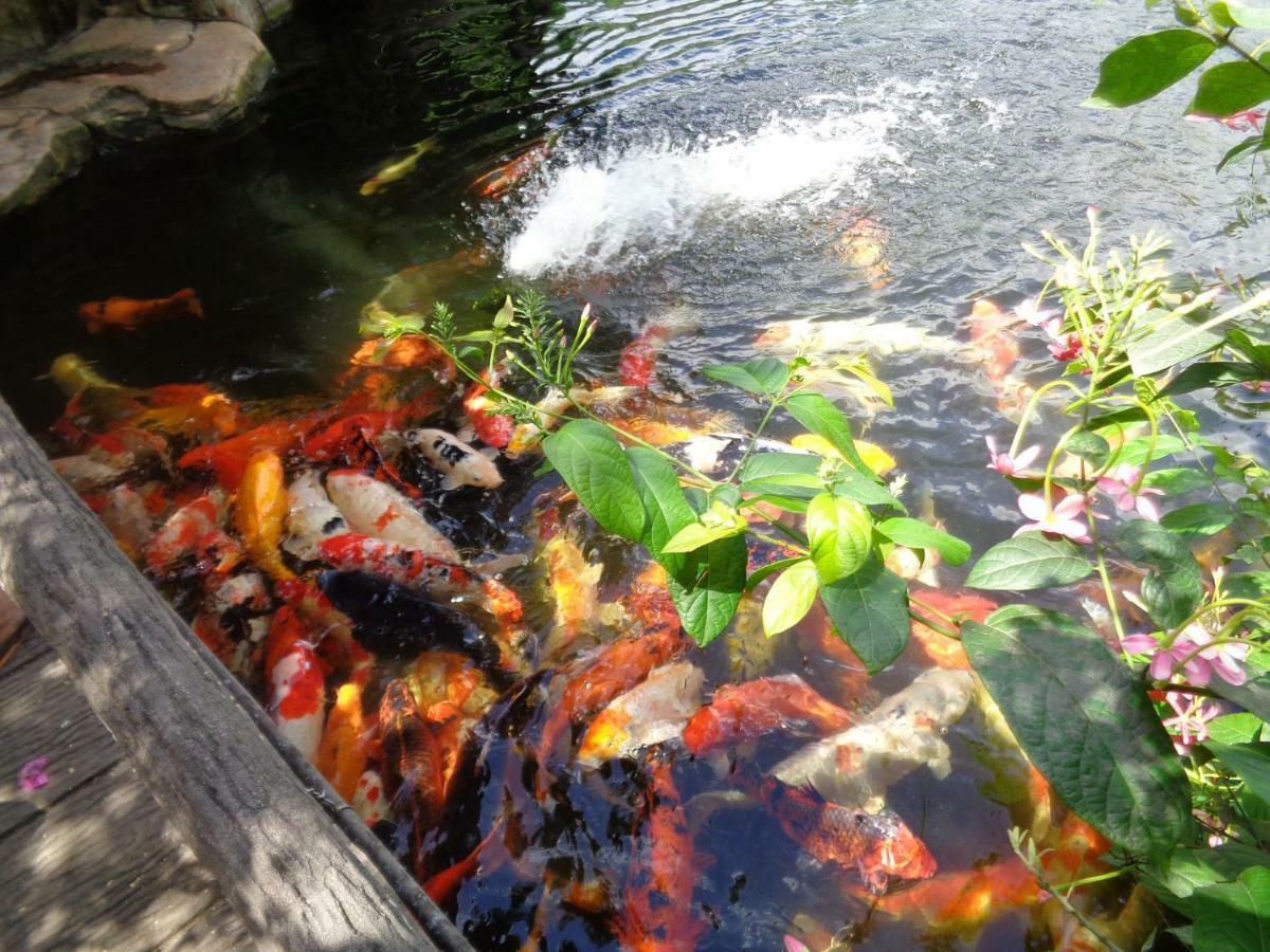 Vuon Xoai Resort Ap Phuoc Cang Dış mekan fotoğraf